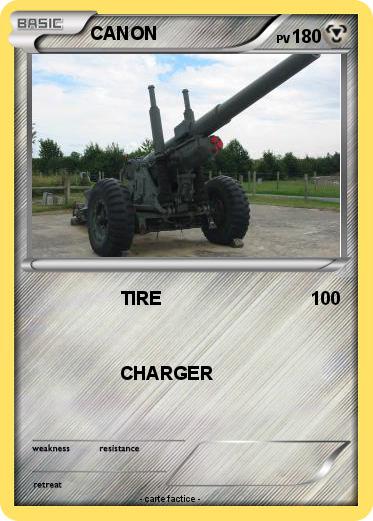 Pokemon CANON