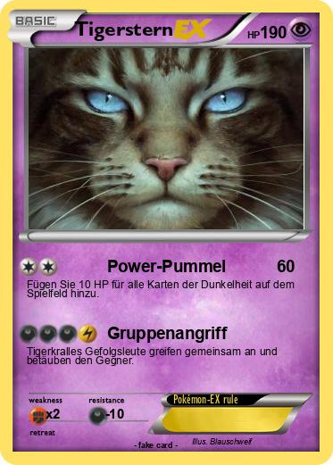 Pokemon Tigerstern