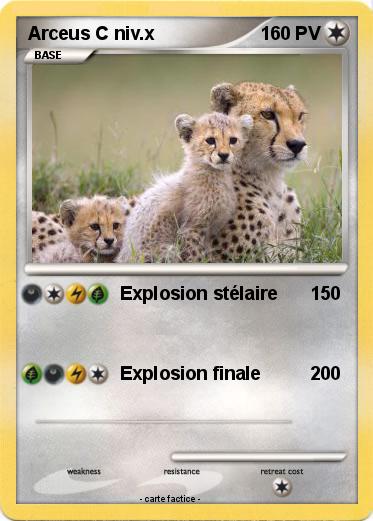 Pokemon Arceus C niv.x