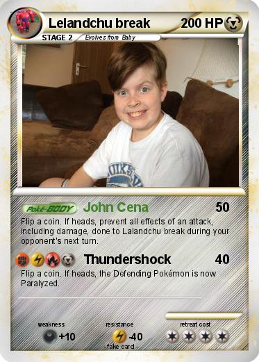 Pokemon Lelandchu break
