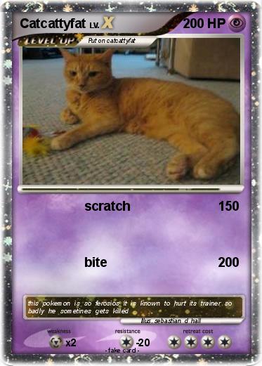 Pokemon Catcattyfat