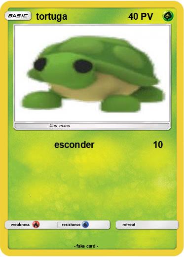 Pokemon tortuga
