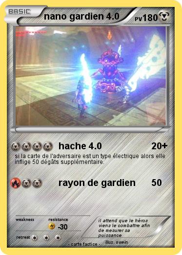 Pokemon nano gardien 4.0