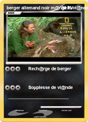 Pokemon berger allemand noir m@nge la vi@nde