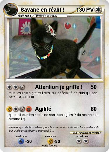 Pokemon Savane en réalif !