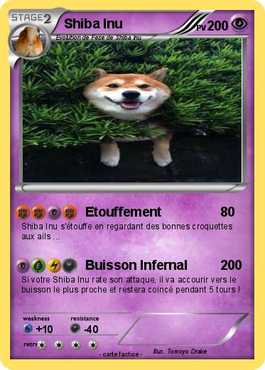 Pokemon Shiba Inu