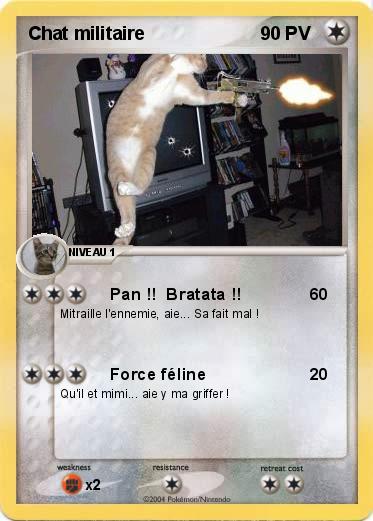 Pokemon Chat militaire