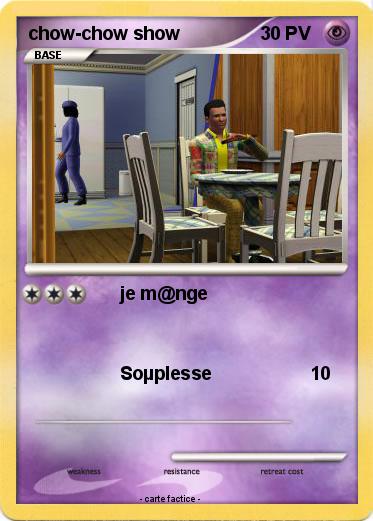 Pokemon chow-chow show