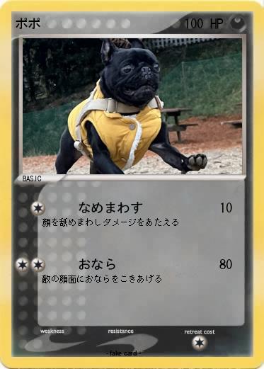 Pokemon ポポ