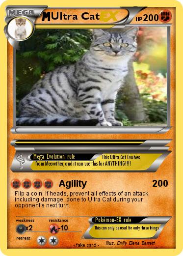 Pokemon Ultra Cat