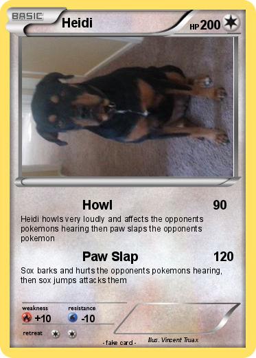 Pokemon Heidi