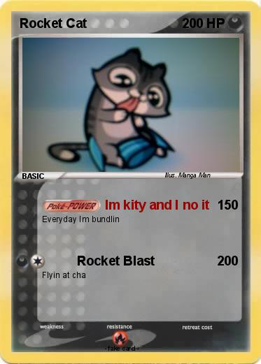 Pokemon Rocket Cat