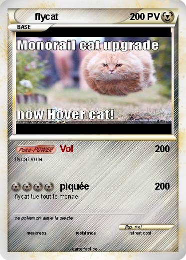 Pokemon flycat