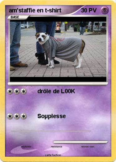Pokemon am'staffie en t-shirt