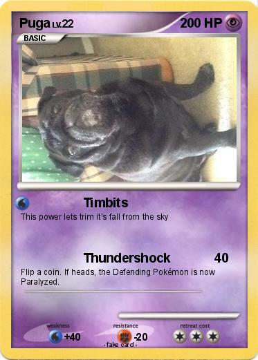 Pokemon Puga