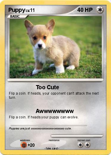 Pokemon Puppy