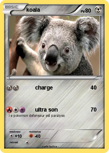 Pokemon koala