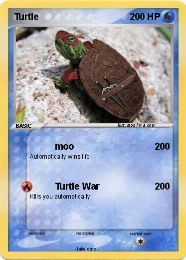 Pokemon Turtle
