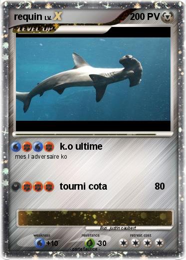 Pokemon requin