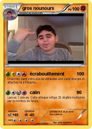 Pokemon gros nounours