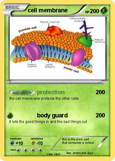 Pokemon cell membrane