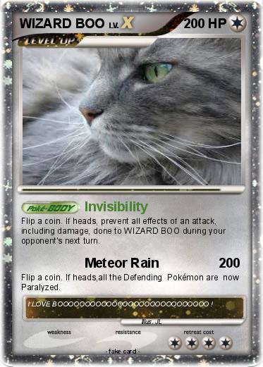 Pokemon WIZARD BOO