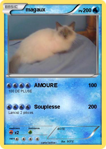 Pokemon magaux