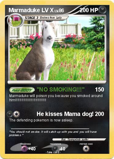 Pokemon Marmaduke LV X