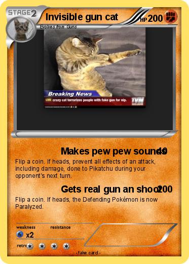 Pokemon Invisible gun cat
