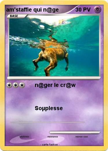 Pokemon am'staffie qui n@ge