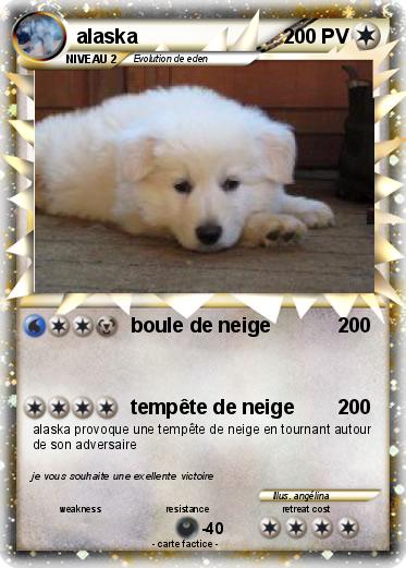 Pokemon alaska
