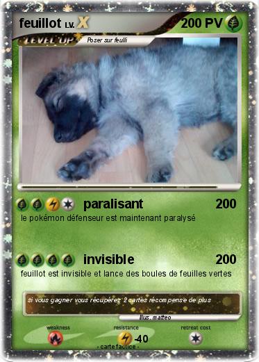 Pokemon feuillot
