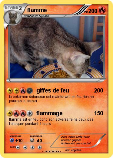 Pokemon flamme