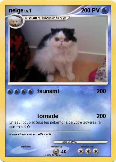 Pokemon neige