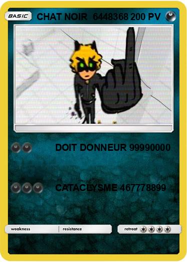 Pokemon CHAT NOIR  6448368