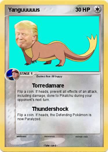 Pokemon Yanguuuuus