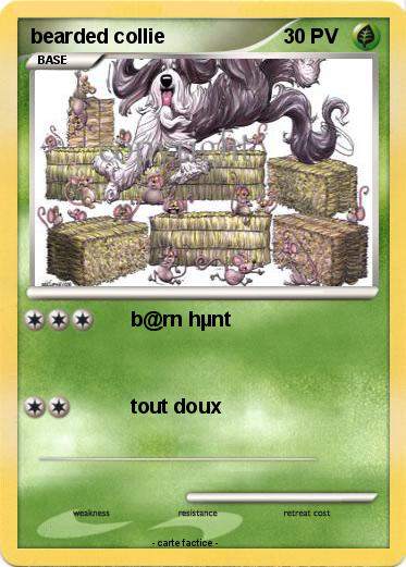 Pokemon bearded collie