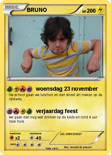 Pokemon BRUNO