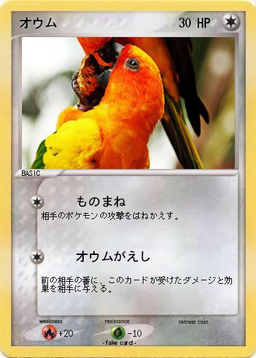 Pokemon オウム