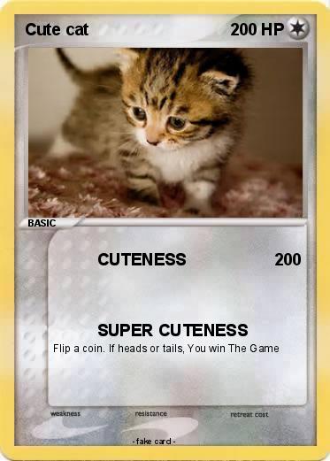 Pokemon Cute cat