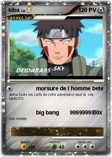 Pokemon kiba