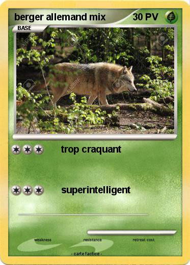 Pokemon berger allemand mix