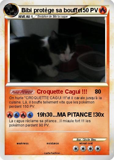 Pokemon Bibi protège sa bouffe