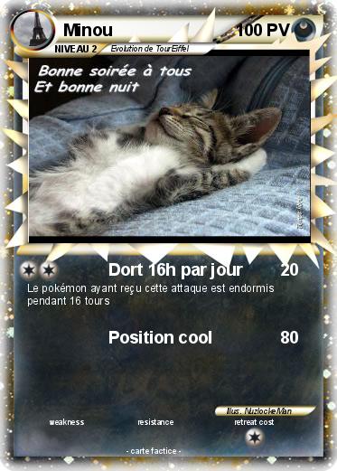 Pokemon Minou