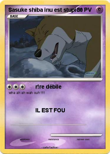 Pokemon Sasuke shiba inu est stupide