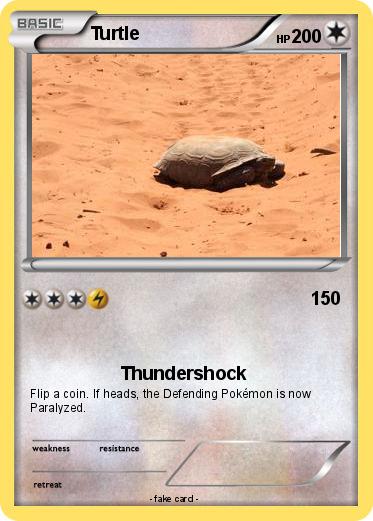 Pokemon Turtle
