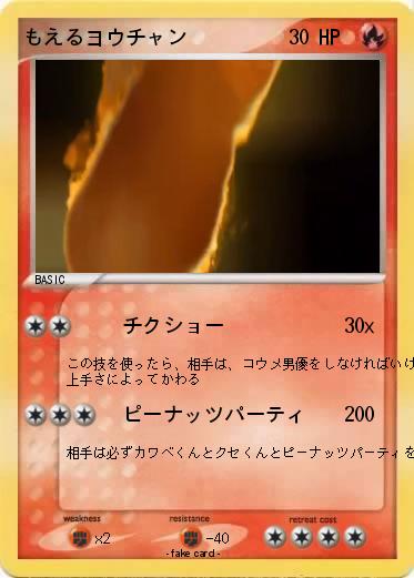 Pokemon もえるヨウチャン