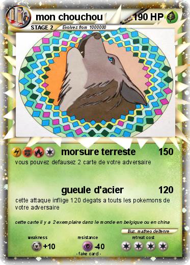 Pokemon mon chouchou