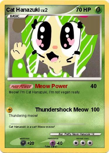 Pokemon Cat Hanazuki