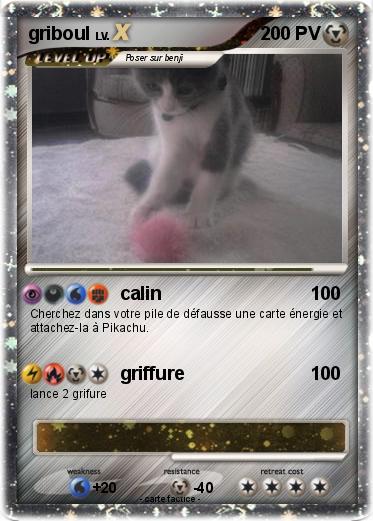 Pokemon griboul